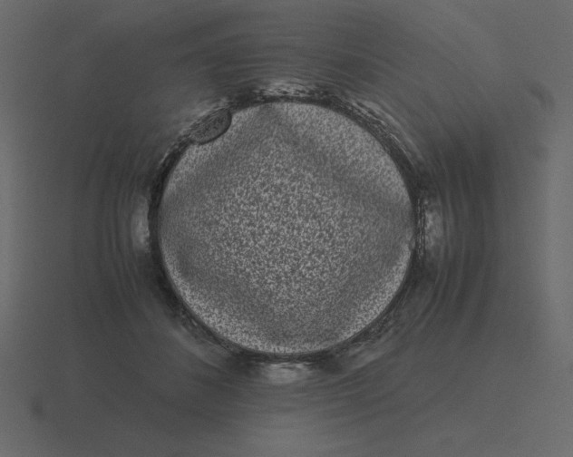 X0000116600508200912241716