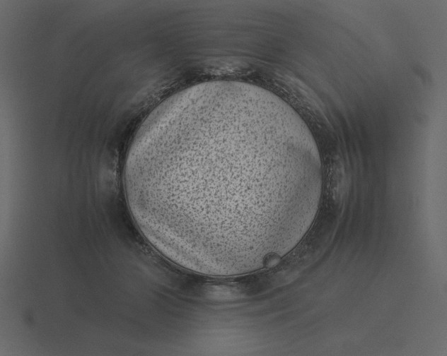 X0000116600510200912241716