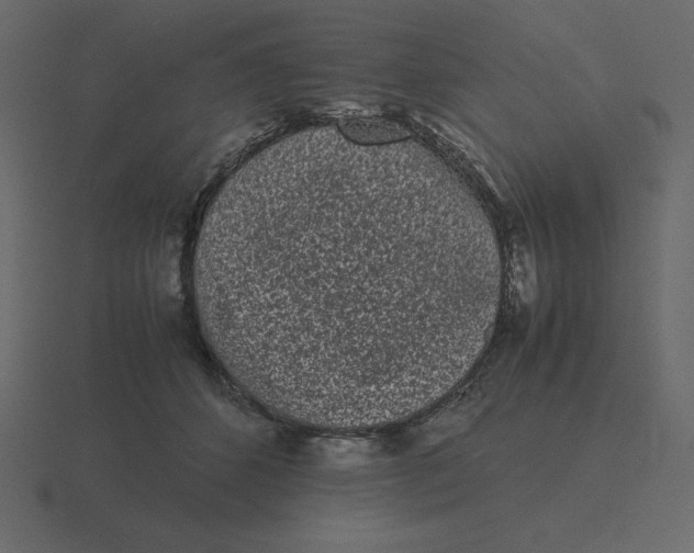 X0000116600512200912241716