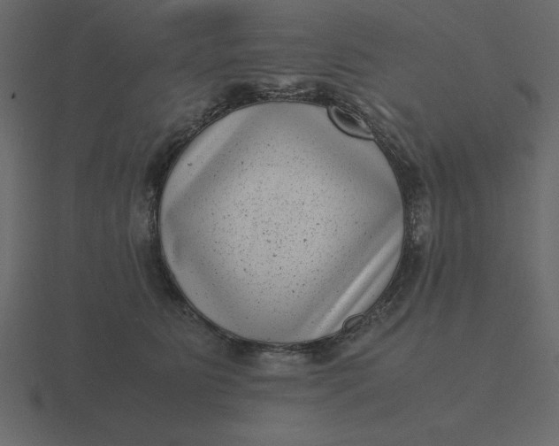 X0000116600515200912241716