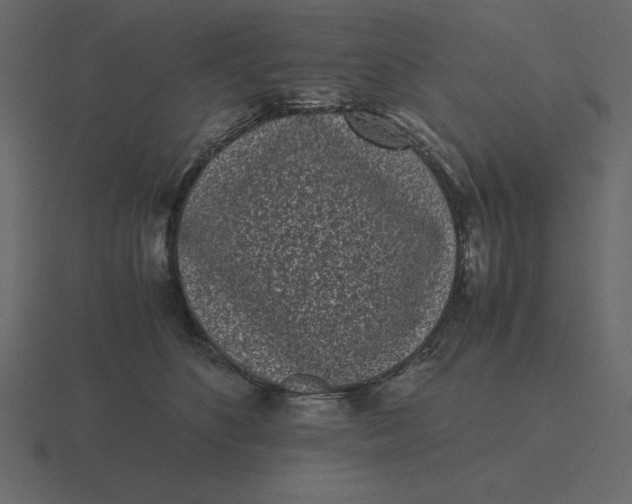 X0000116600516200912241716
