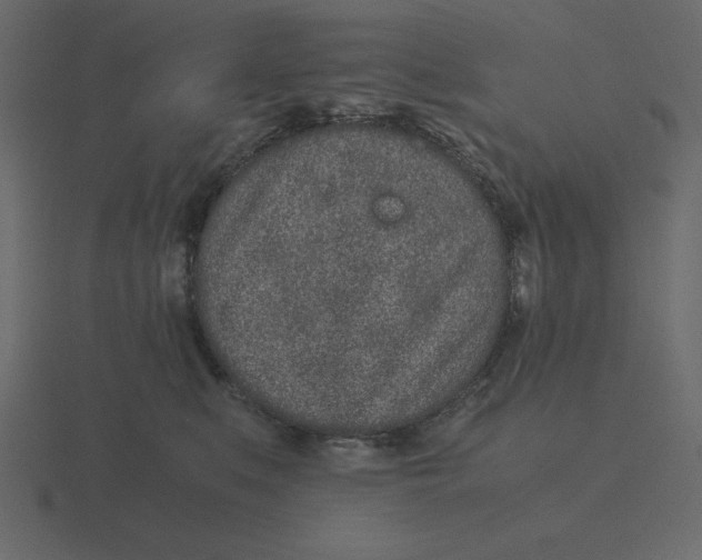 X0000116600519200912241716