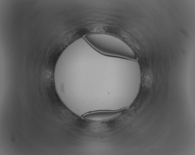 X0000116600521200912241716