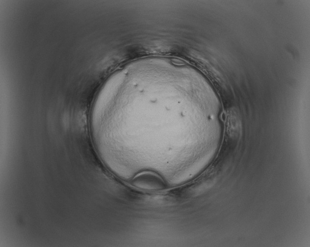 X0000116600523200912241716