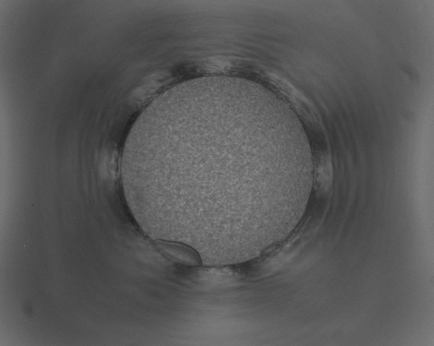 X0000116600525200912241716