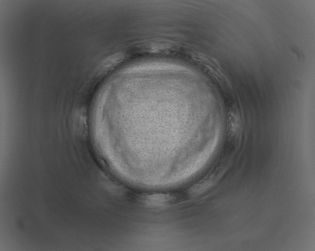 X0000116600527200912241716