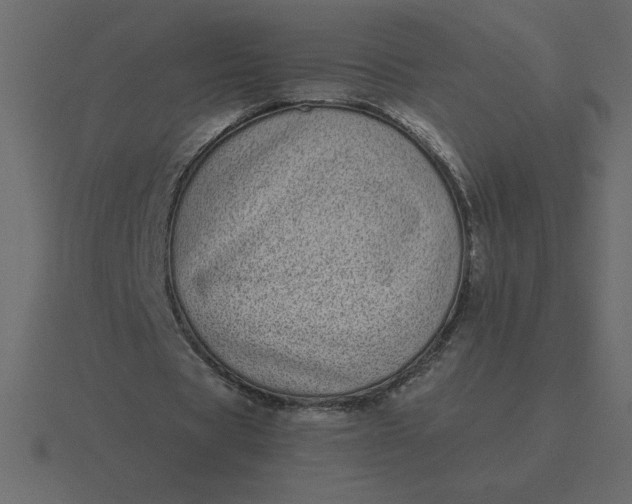 X0000116600529200912241716