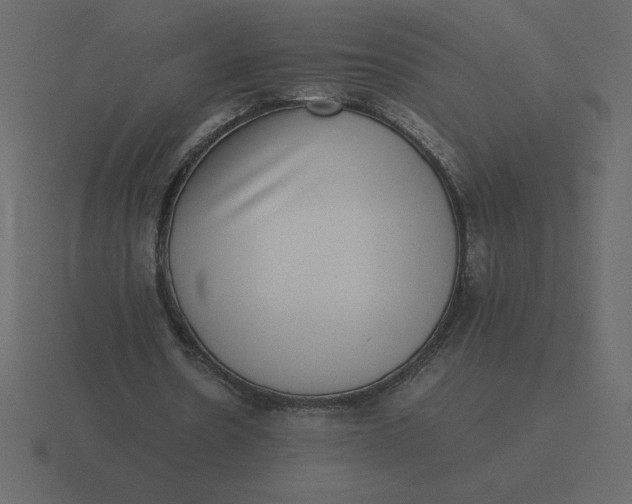 X0000116600530200912241716