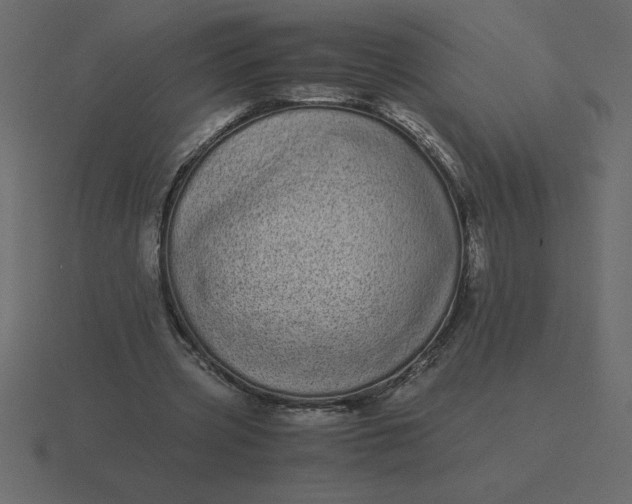 X0000116600533200912241716