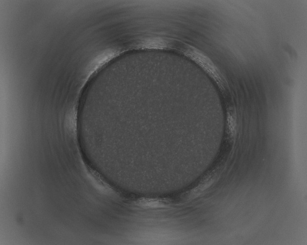 X0000116600534200912241716