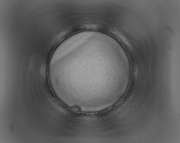 X0000116600537200912241716