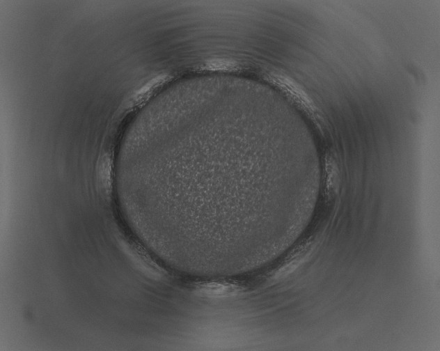 X0000116600542200912241716