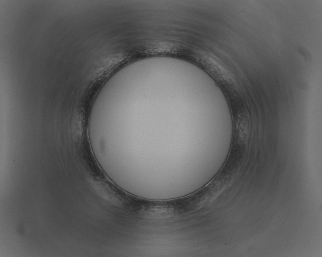 X0000116600546200912241716