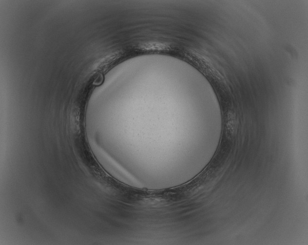 X0000116600547200912241716