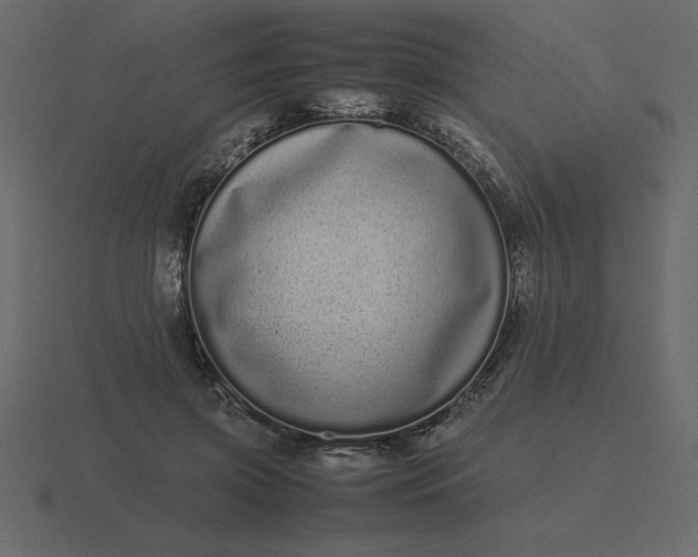 X0000116600549200912241716