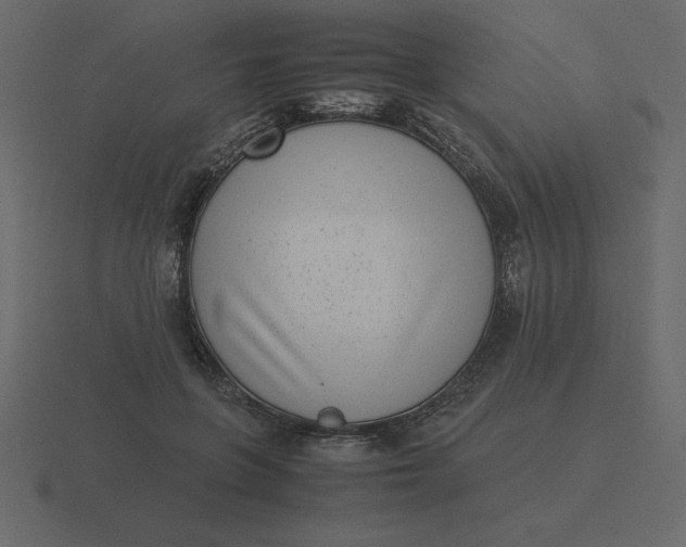 X0000116600551200912241716