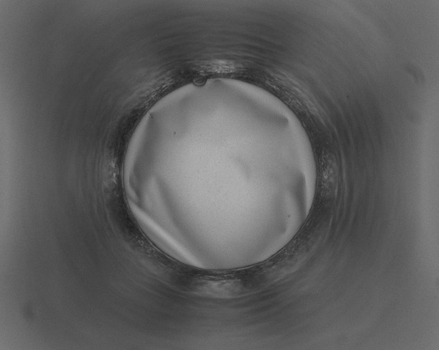 X0000116600555200912241716