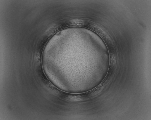 X0000116600557200912241716