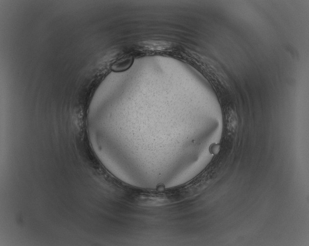 X0000116600559200912241716