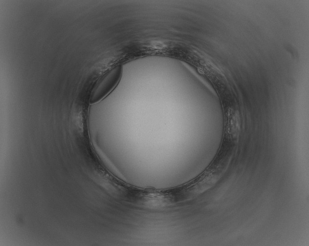 X0000116600562200912241716