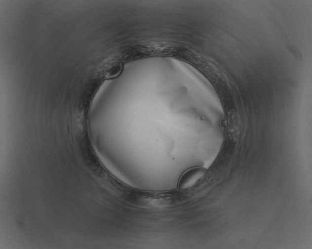 X0000116600563200912241716