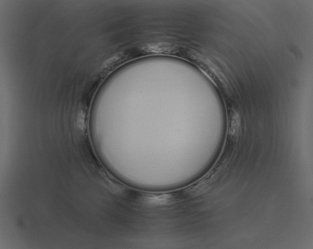 X0000116600569200912241716
