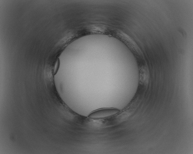 X0000116600573200912241716