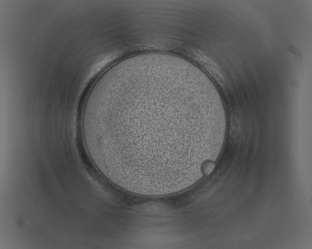 X0000116600578200912241715