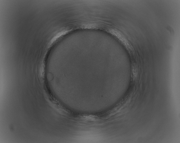 X0000116600583200912241715