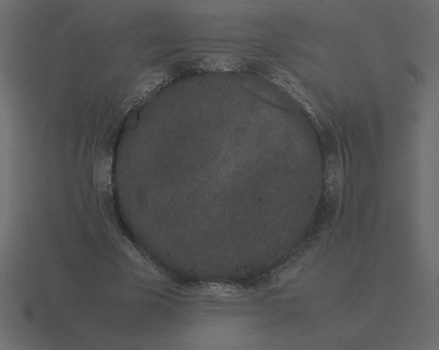 X0000116600585200912241715