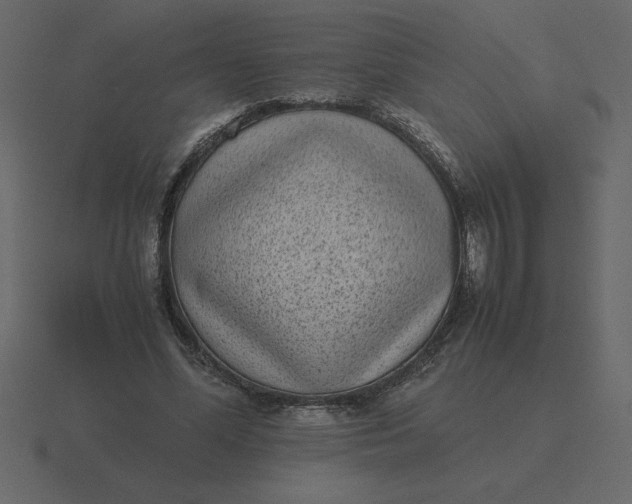 X0000116600588200912241715