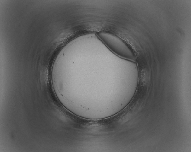 X0000116600589200912241715