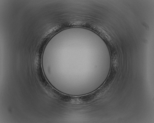 X0000116600591200912241715