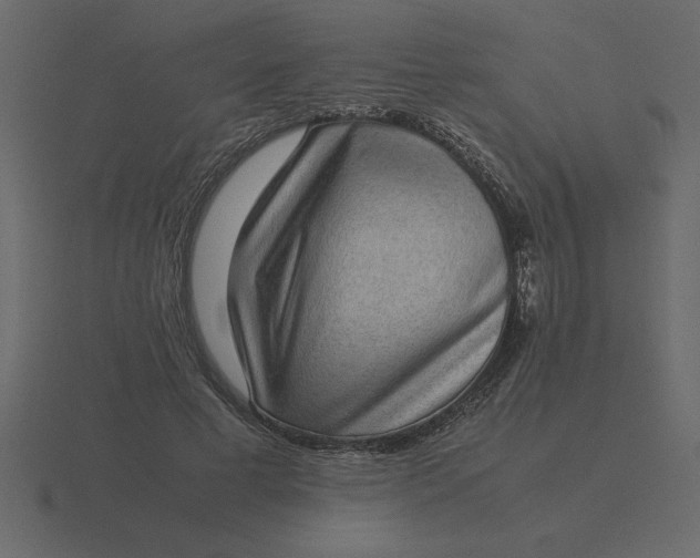 X0000116600593200912241715