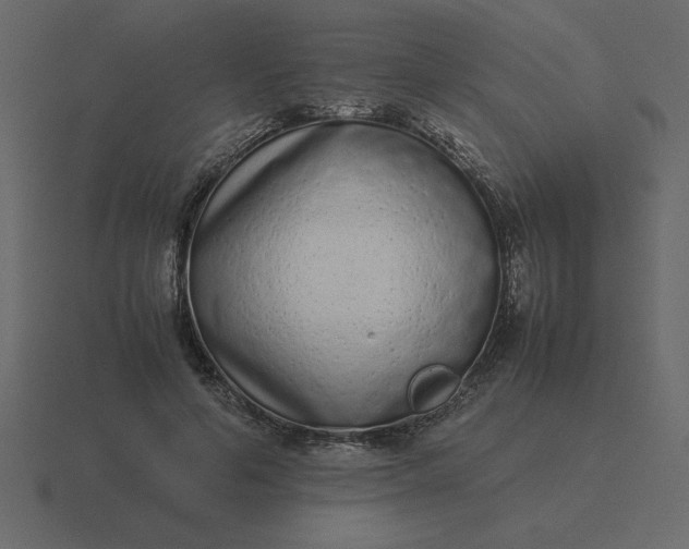 X0000116600594200912241715