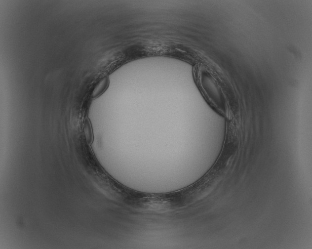 X0000116600601200912241715