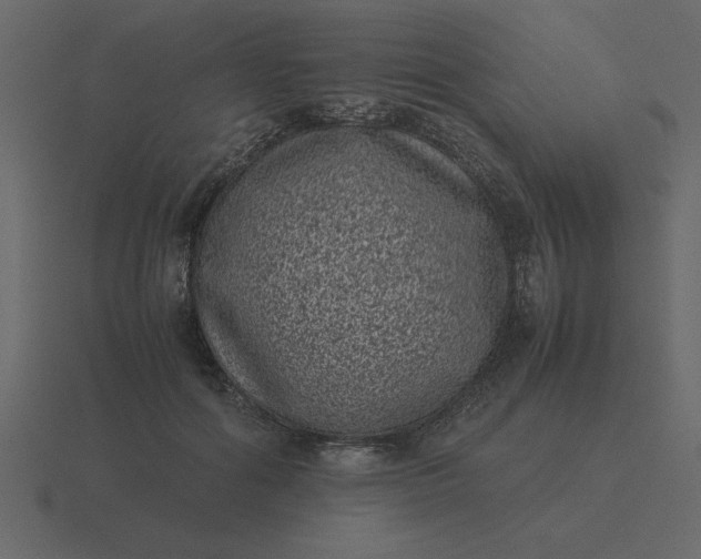 X0000116600602200912241715
