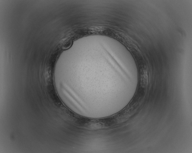 X0000116600608200912241715