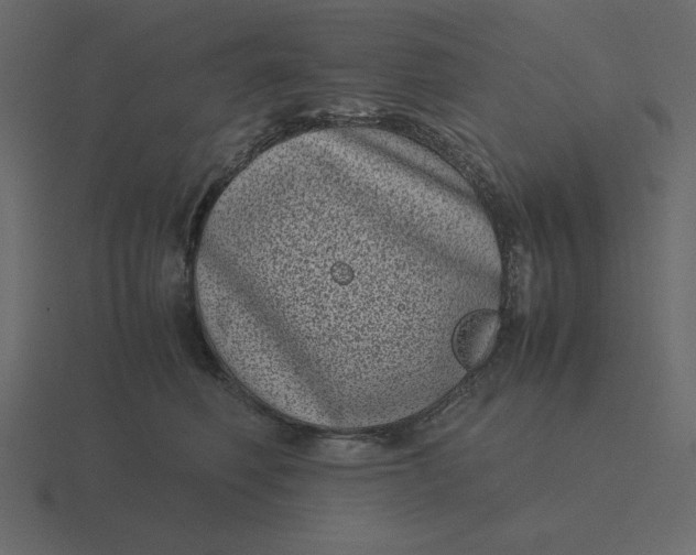 X0000116600614200912241715