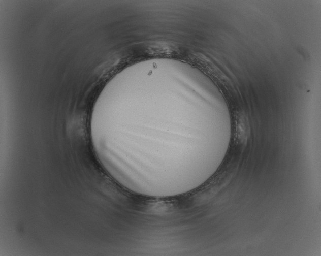 X0000116600616200912241715