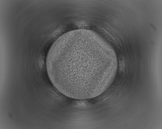 X0000116600618200912241715