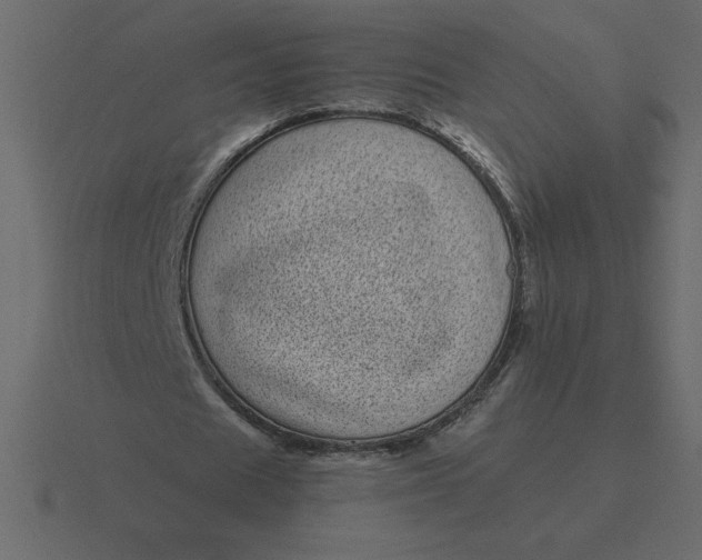 X0000116600625200912241714
