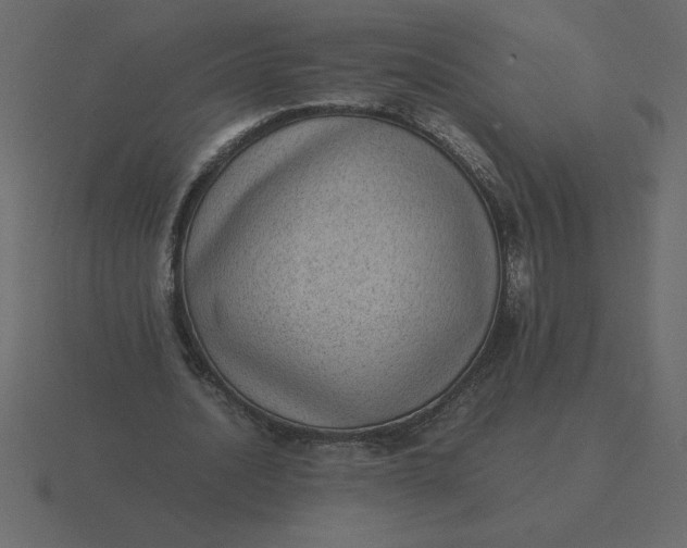 X0000116600628200912241714