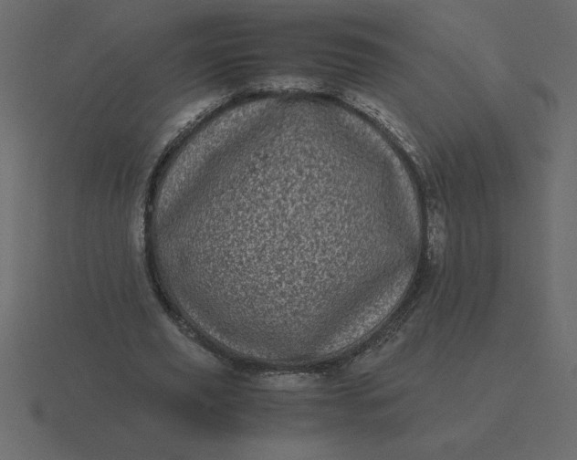 X0000116600629200912241714