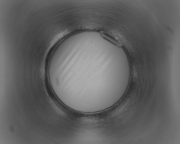 X0000116600630200912241714