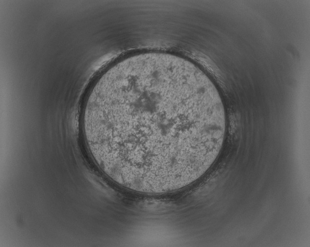 X0000116600632200912241714