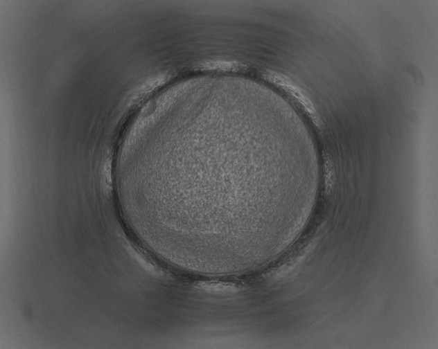 X0000116600633200912241714
