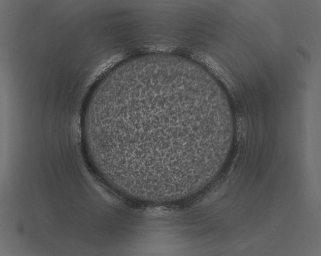 X0000116600634200912241714