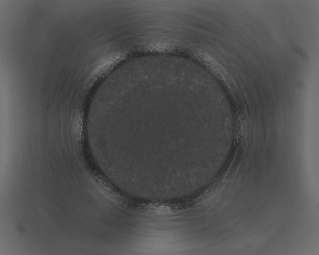 X0000116600640200912241714