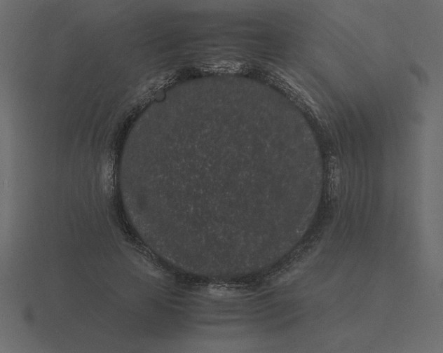 X0000116600641200912241715